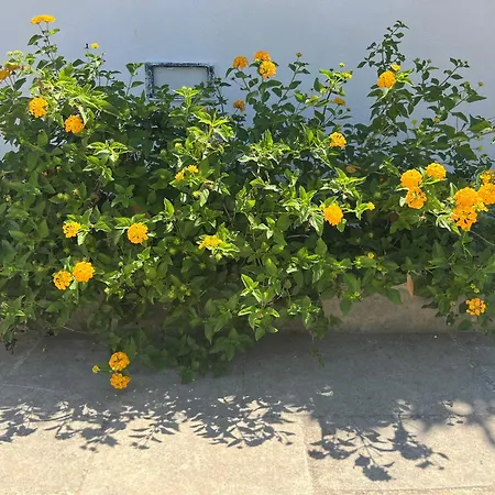 Villino Monte Sant'angelo * 오트란토